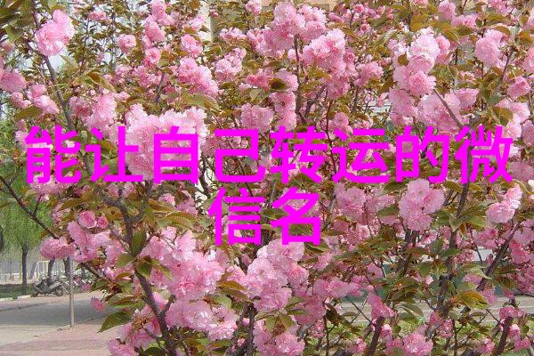 简单点的游戏名字简洁的游戏家族名字